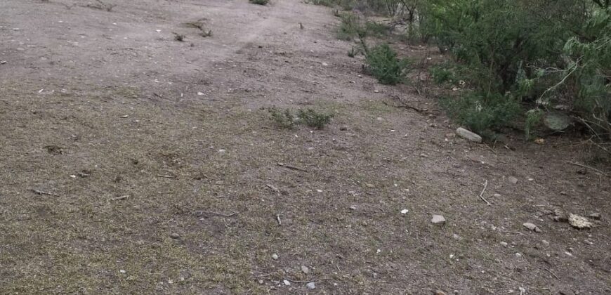 68 Hectáreas en venta el Marques Querétaro