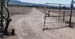 68 Hectáreas en venta el Marques Querétaro
