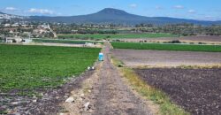 10 Hectáreas Junto a Rancho San Rafael