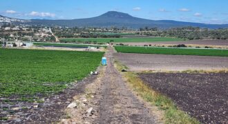 10 Hectáreas Junto a Rancho San Rafael