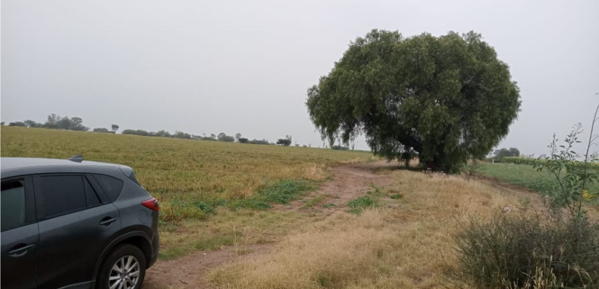 177 Hectáreas en San Juán del Rio Querétaro