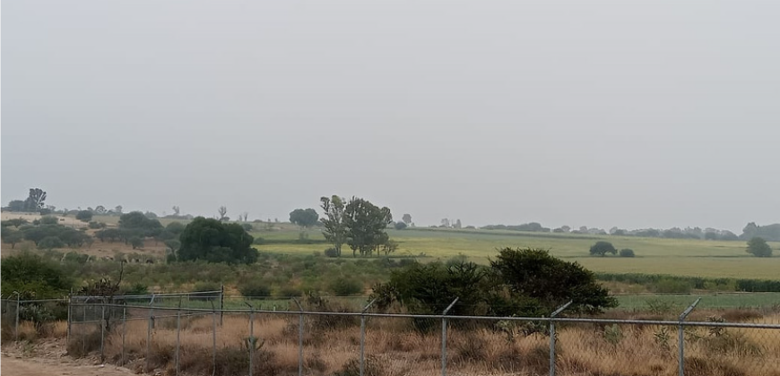 177 Hectáreas en San Juán del Rio Querétaro