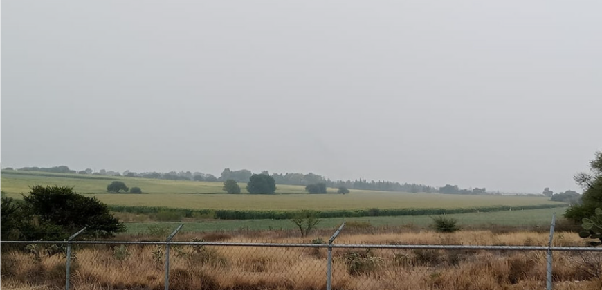 177 Hectáreas en San Juán del Rio Querétaro