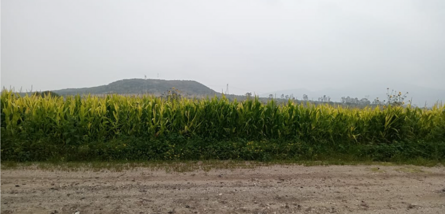 177 Hectáreas en San Juán del Rio Querétaro